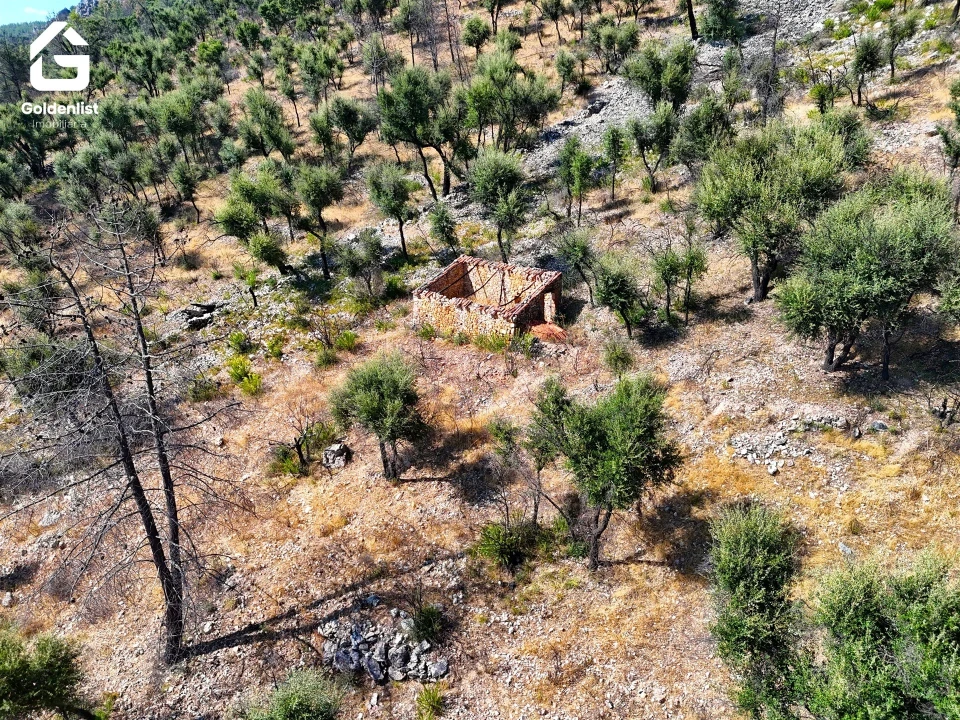 Terreno para Venda em Espírito Santo, Nossa Senhora da Graça e São Simão Foto 11