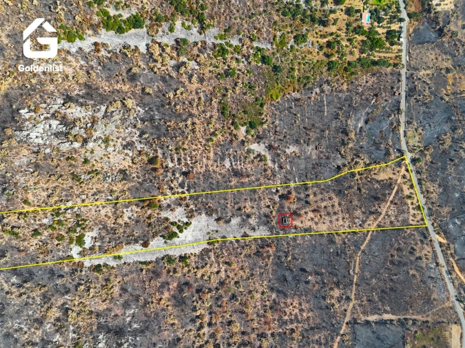 Quinta T0 para Venda em Espírito Santo, Nossa Senhora da Graça e São Simão Foto 4