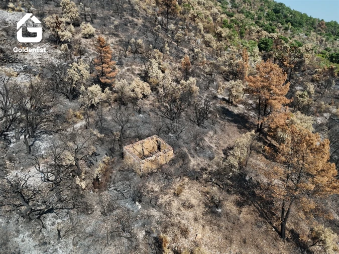 Quinta T0 para Venda em Espírito Santo, Nossa Senhora da Graça e São Simão Foto 5