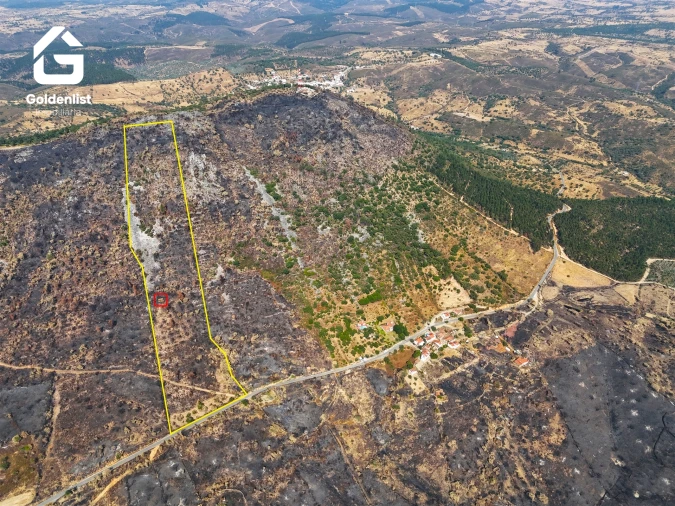Quinta T0 para Venda em Espírito Santo, Nossa Senhora da Graça e São Simão Foto 13