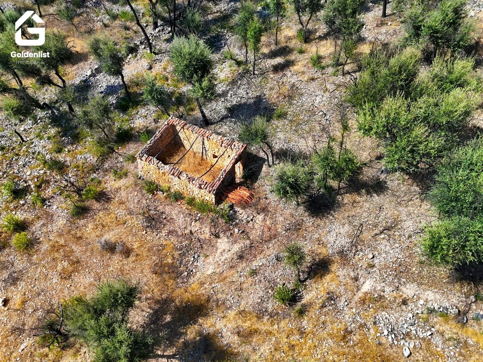 Terreno para Venda em Espírito Santo, Nossa Senhora da Graça e São Simão Foto 8