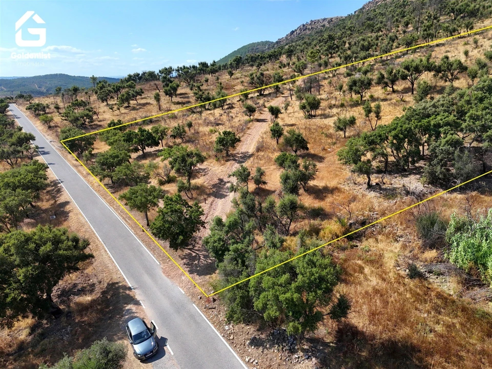 Terreno para Venda em Espírito Santo, Nossa Senhora da Graça e São Simão Foto 1