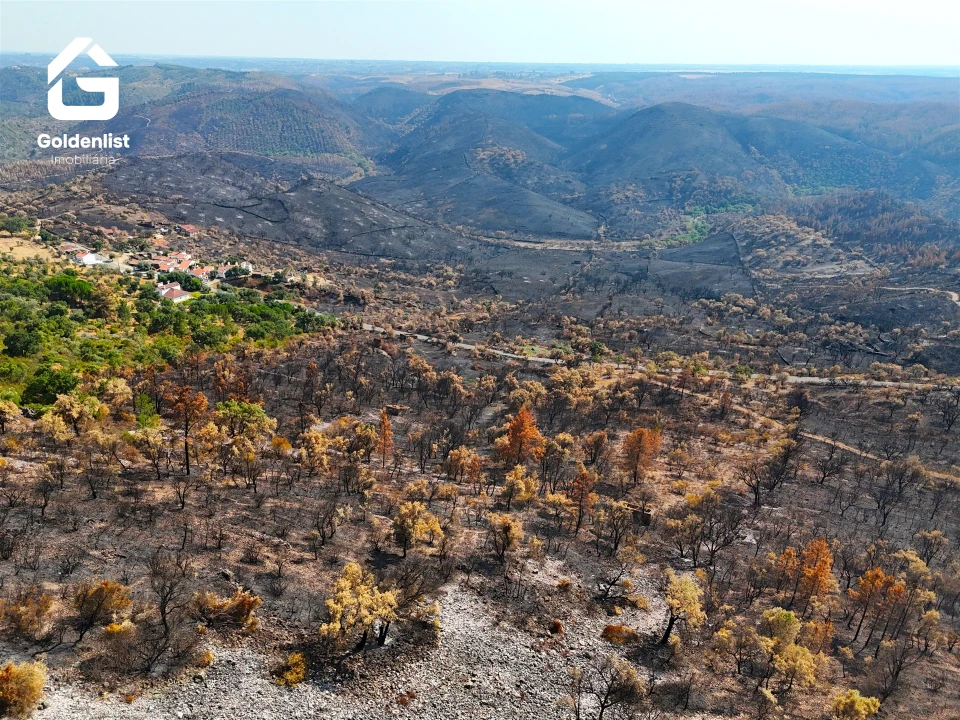 Quinta T0 para Venda em Espírito Santo, Nossa Senhora da Graça e São Simão Foto 12