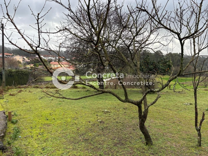 Terreno para Venda em Carreira e Fonte Coberta Foto 6
