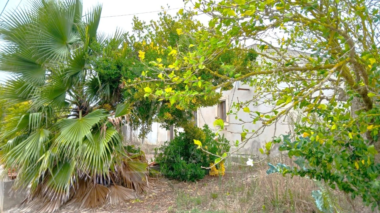 Quinta T3 para Venda em Cela Foto 3