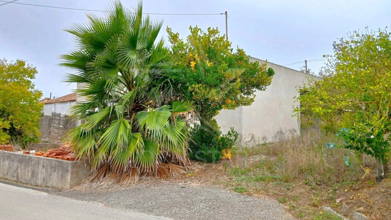 Quinta T3 para Venda em Cela Foto 5