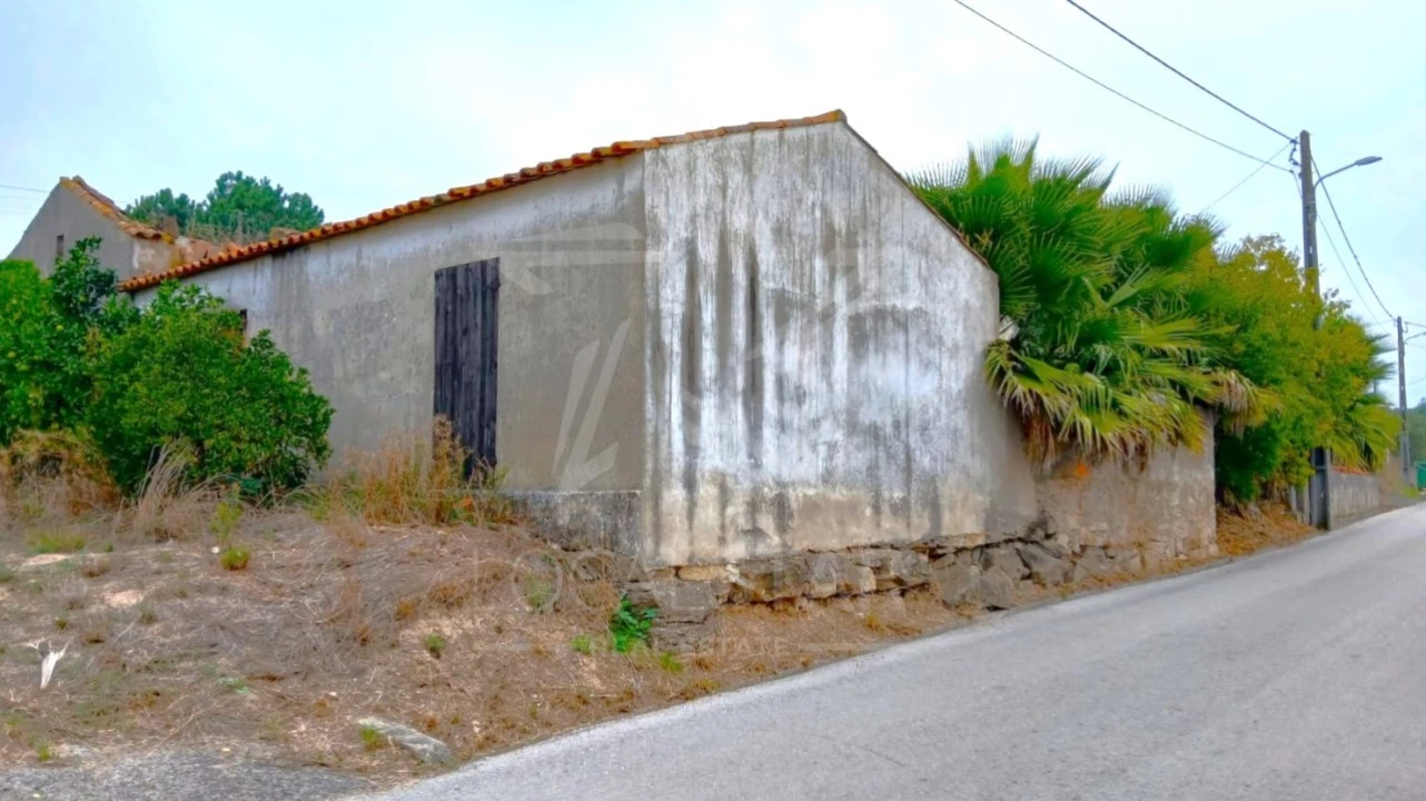 Quinta T3 para Venda em Cela Foto 7