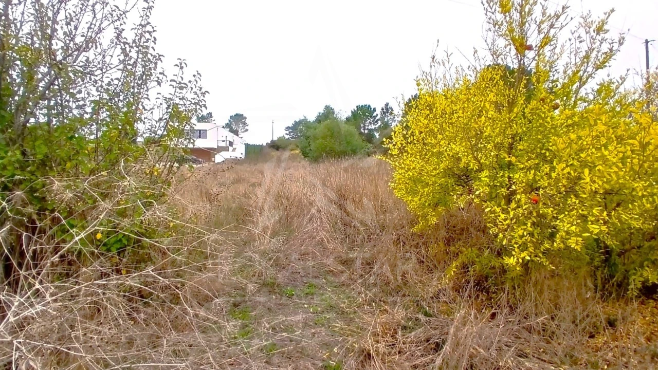 Quinta T3 para Venda em Cela Foto 11