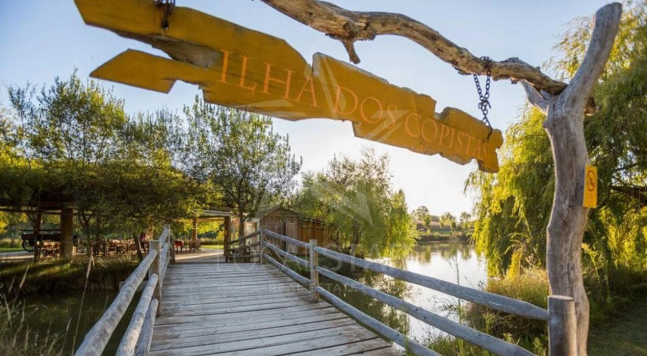 Quinta T3 para Venda em Cela Foto 22