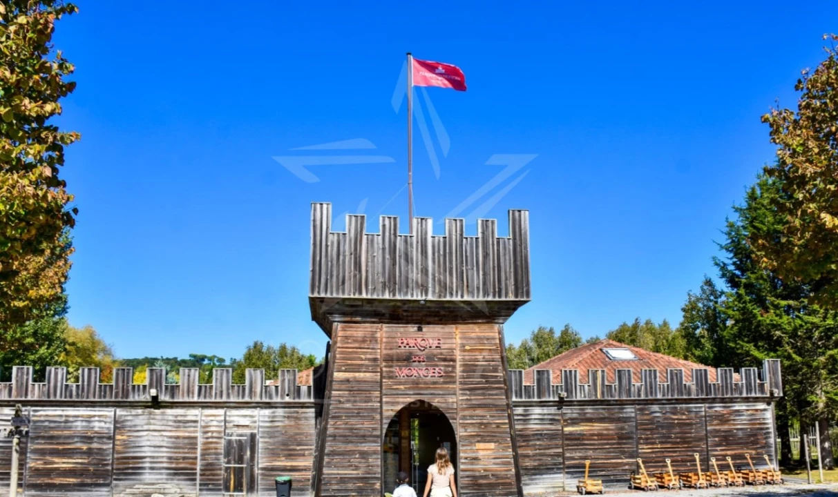 Quinta T3 para Venda em Cela Foto 24