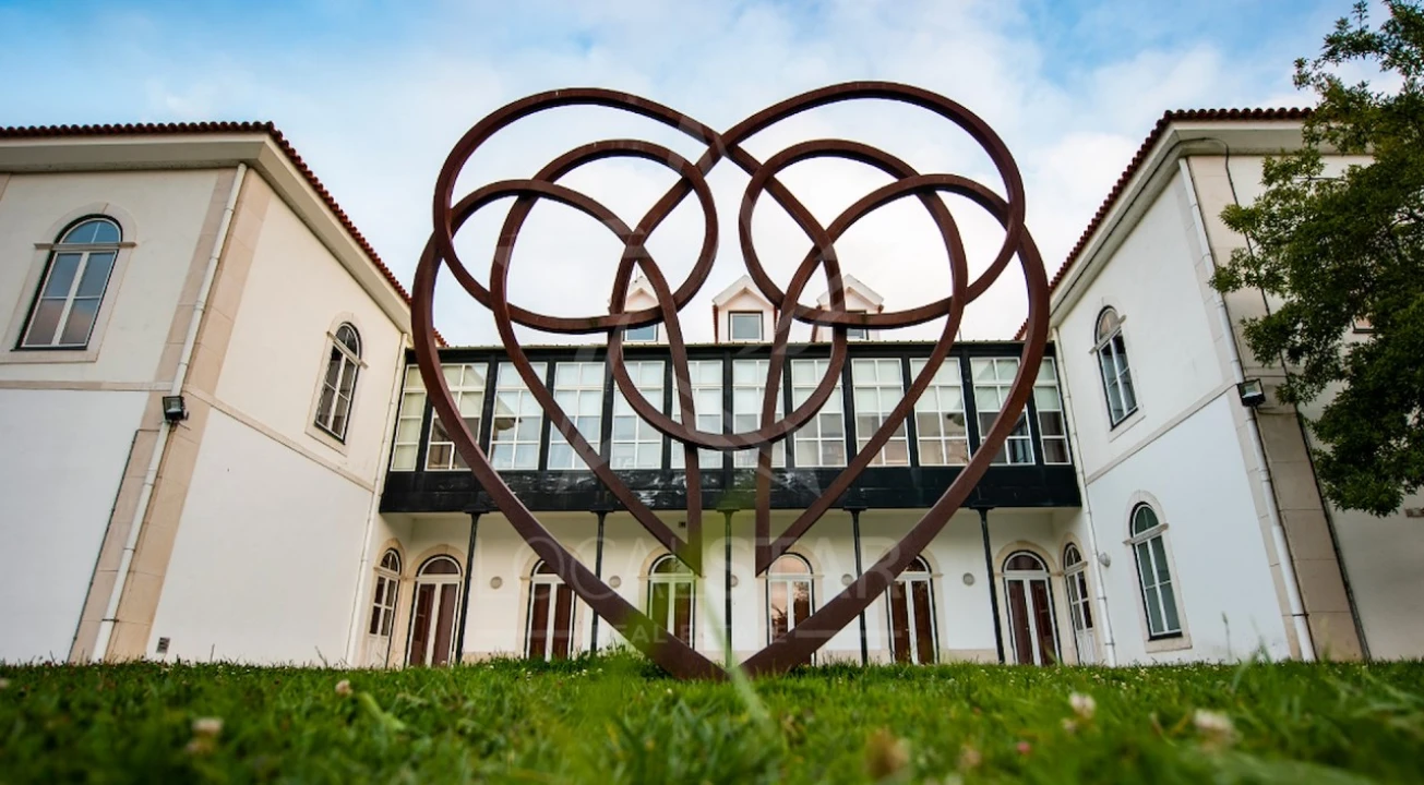 Quinta T3 para Venda em Cela Foto 25