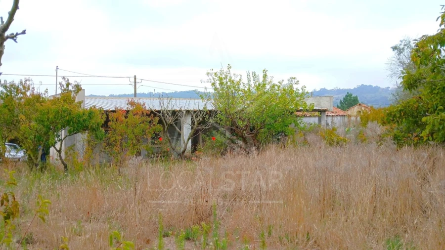 Quinta T3 para Venda em Cela Foto 4