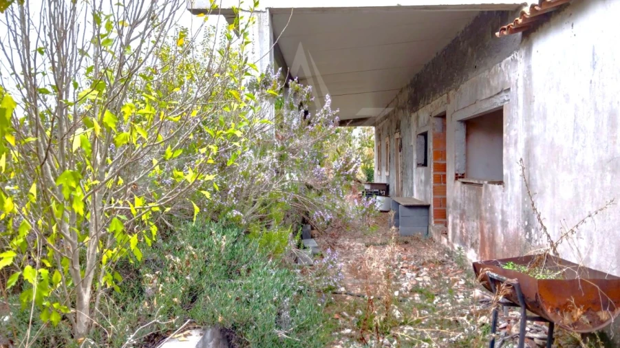 Quinta T3 para Venda em Cela Foto 9