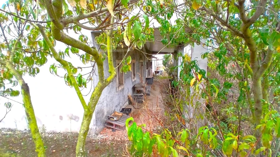 Quinta T3 para Venda em Cela Foto 13