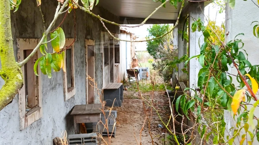 Quinta T3 para Venda em Cela Foto 14