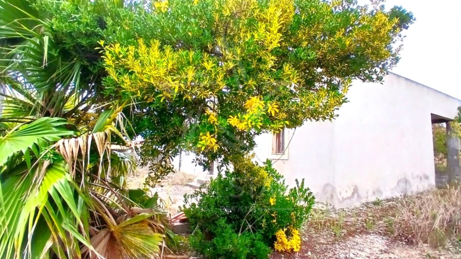 Quinta T3 para Venda em Cela Foto 15