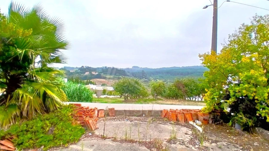 Quinta T3 para Venda em Cela Foto 16