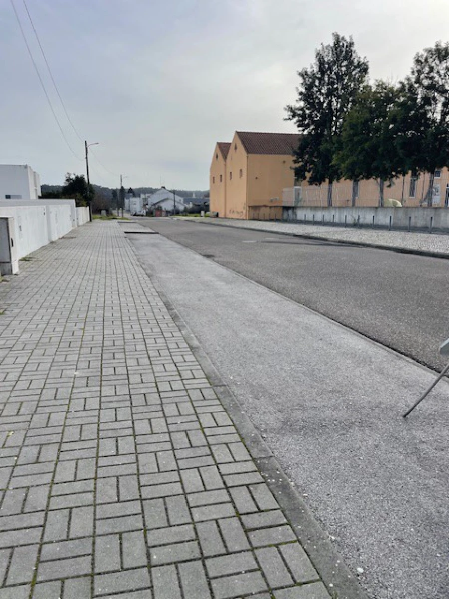 Terreno para Venda em Ponte de Sor, Tramaga e Vale de Açor Foto 3