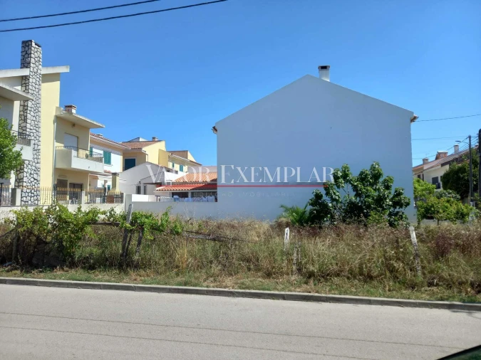 Terreno para Venda em Amora Foto 3