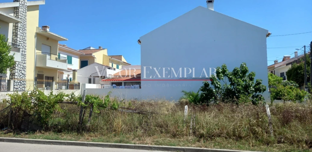 Terreno para Venda em Amora Foto 2