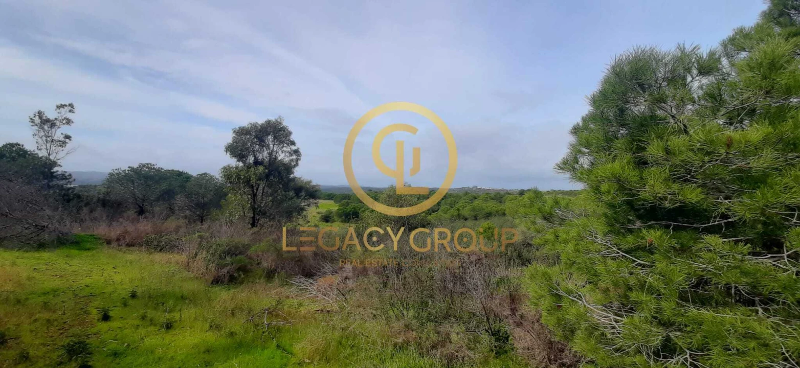 Terreno para Venda em Azinhal Foto 14