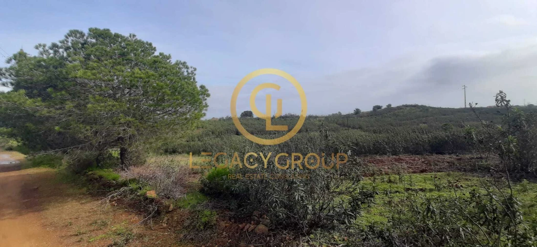 Terreno para Venda em Azinhal Foto 7