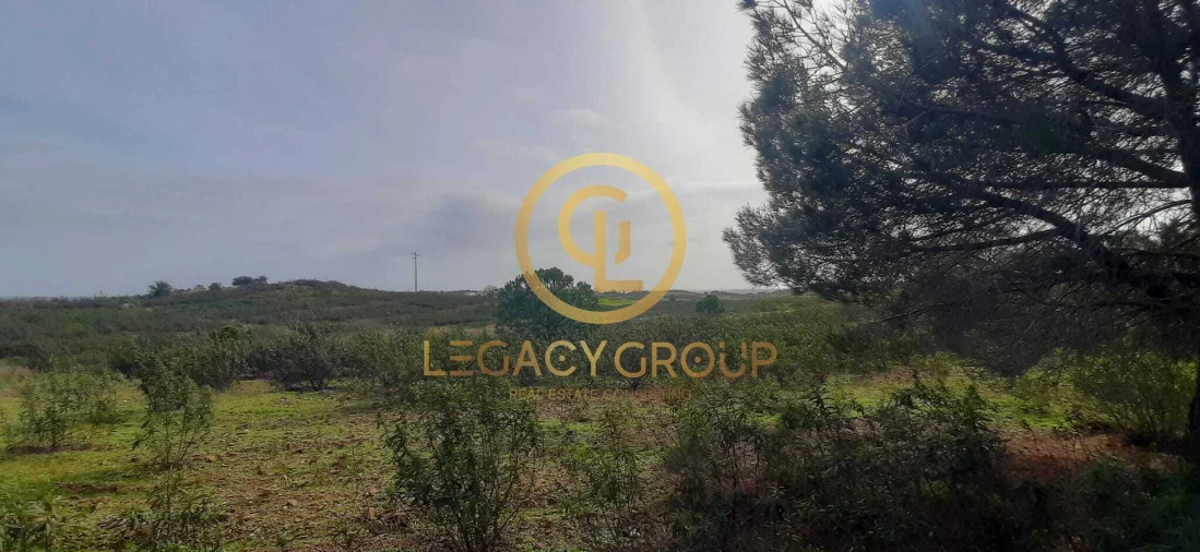 Terreno para Venda em Azinhal Foto 9