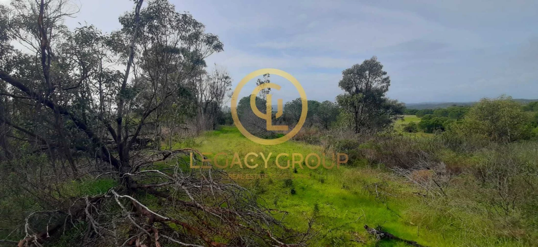 Terreno para Venda em Azinhal Foto 11