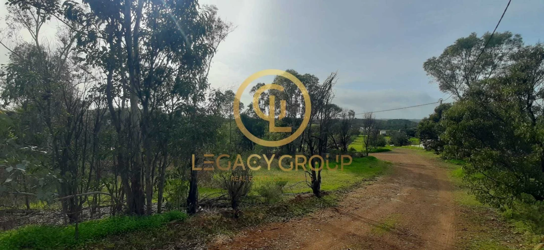 Terreno para Venda em Azinhal Foto 12