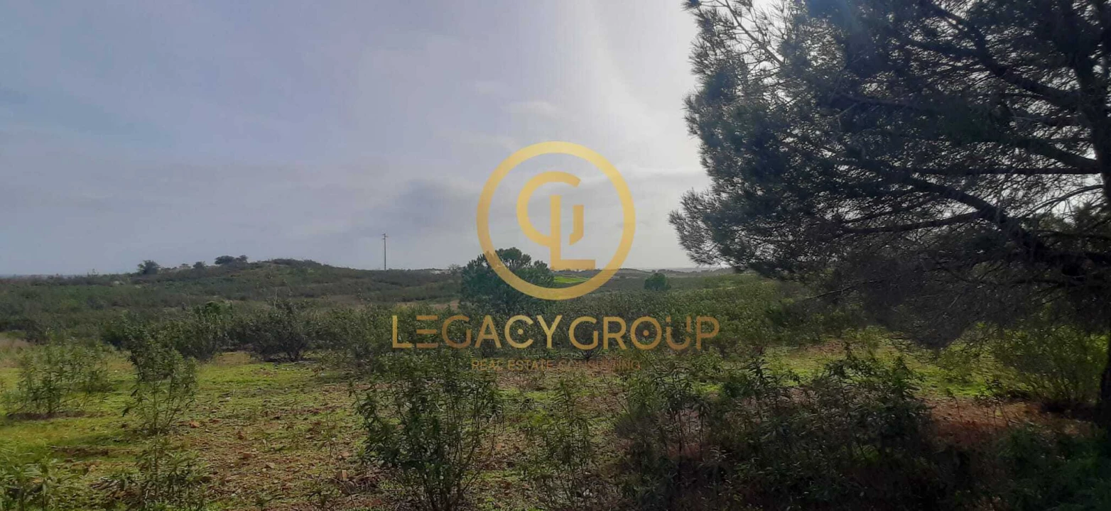 Terreno para Venda em Azinhal Foto 9