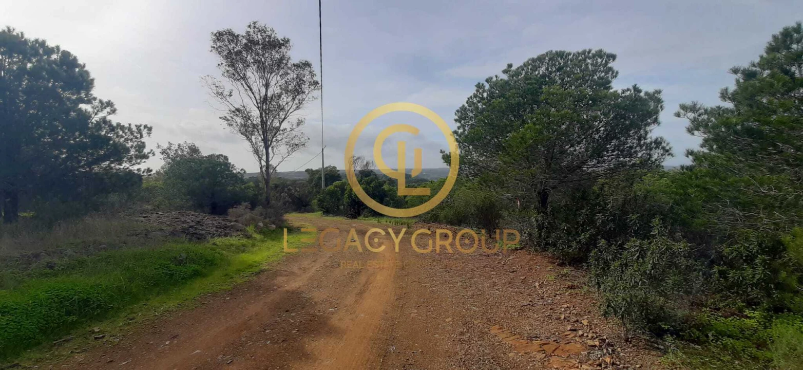 Terreno para Venda em Azinhal Foto 10