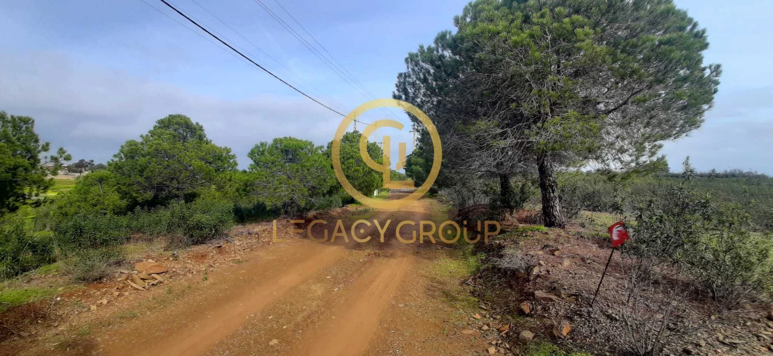 Terreno para Venda em Azinhal Foto 8