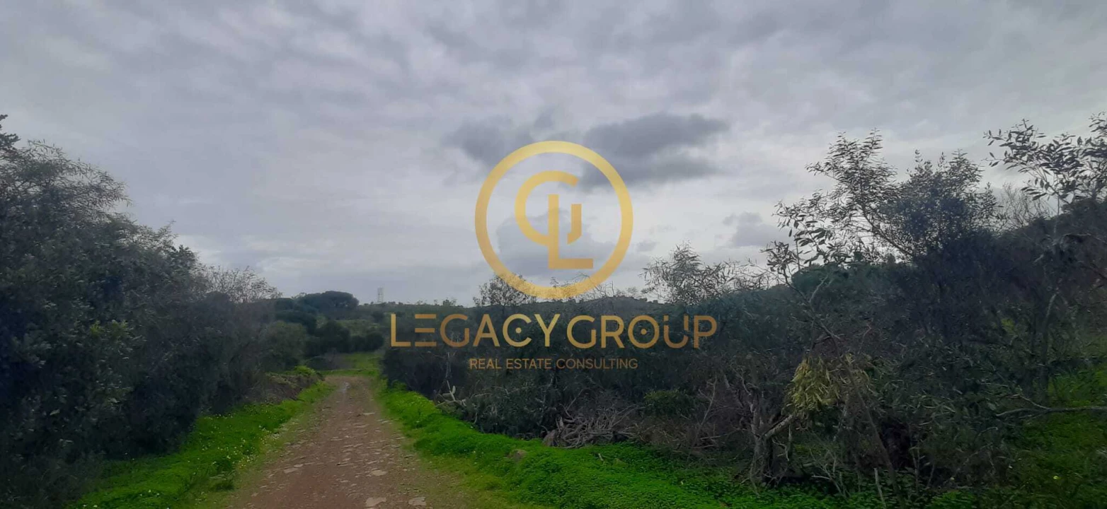 Terreno para Venda em Azinhal Foto 1