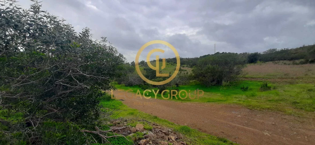 Terreno para Venda em Azinhal Foto 3