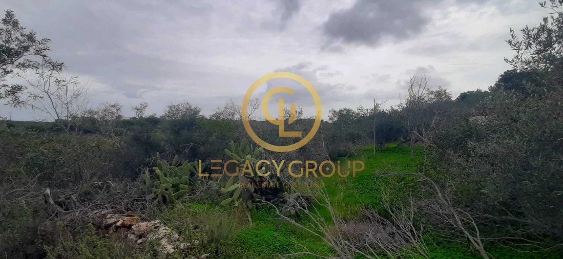 Terreno para Venda em Azinhal Foto 6