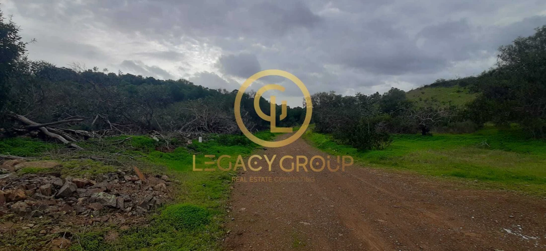 Terreno para Venda em Azinhal Foto 4