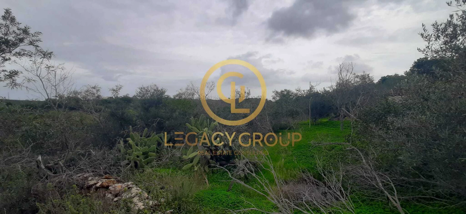 Terreno para Venda em Azinhal Foto 6