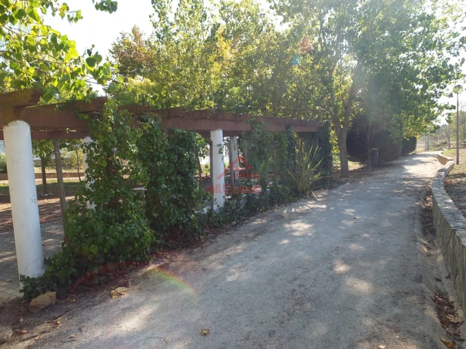 Terreno para Venda em Ericeira Foto 24