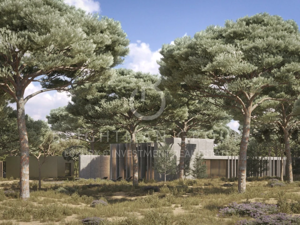 Terreno para Venda em Carvalhal Foto 6