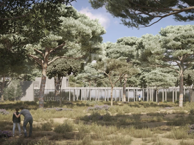 Terreno para Venda em Carvalhal Foto 5