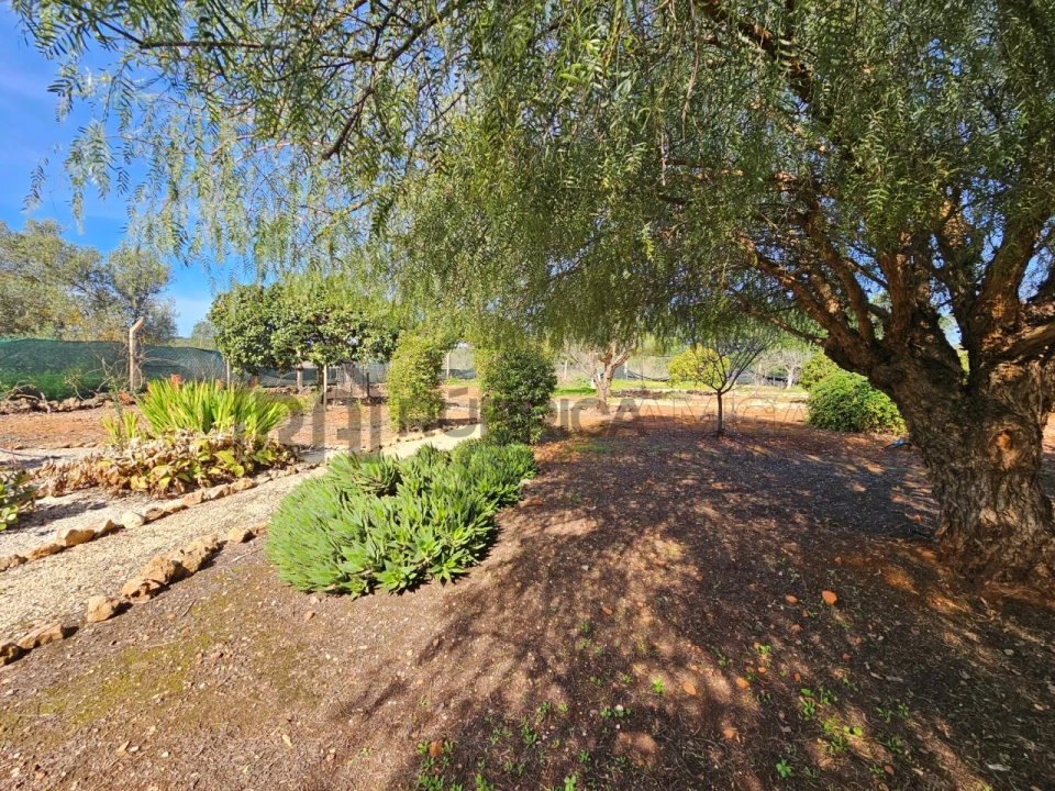 Moradia T3 para Venda em São Bartolomeu de Messines Foto 23