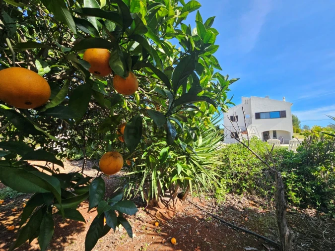 Moradia T3 para Venda em São Bartolomeu de Messines Foto 4