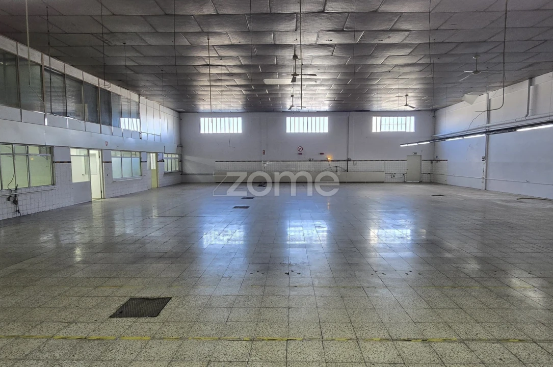 Terreno Comércio / Armazém para Arrendamento em São João da Madeira Foto 21