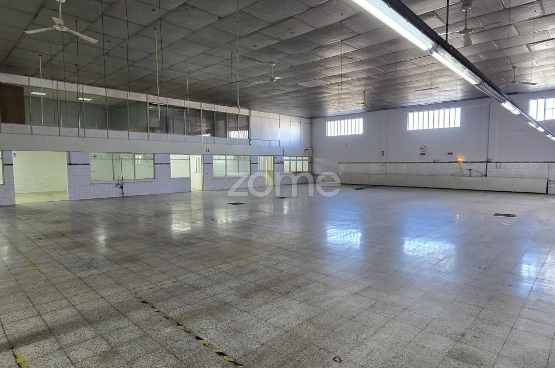 Terreno Comércio / Armazém para Arrendamento em São João da Madeira Foto 20