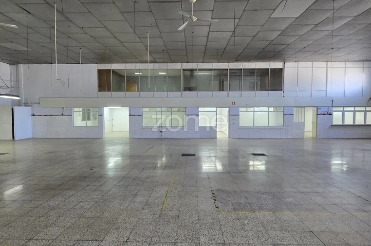 Terreno Comércio / Armazém para Arrendamento em São João da Madeira Foto 23