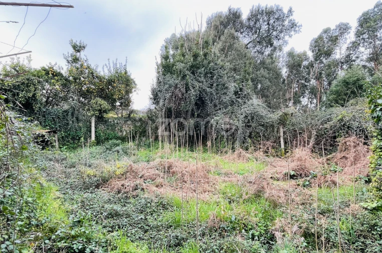 Moradia T3 para Venda em Santo Tirso, Couto (Santa Cristina e São Miguel) e Burgães Foto 14