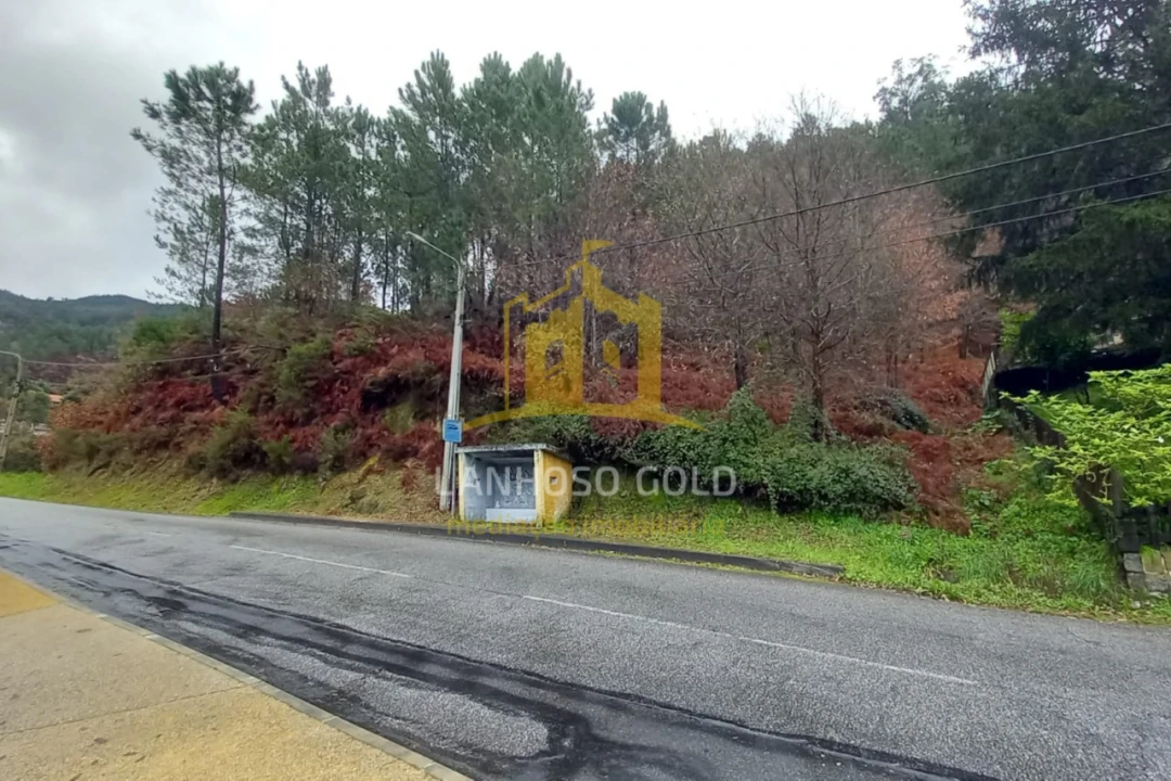 Terreno para Venda em Vilar da Veiga Foto 2