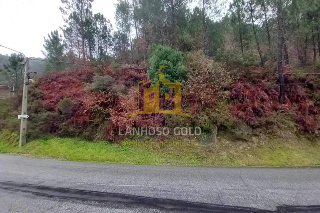 Terreno para Venda em Vilar da Veiga Foto 5