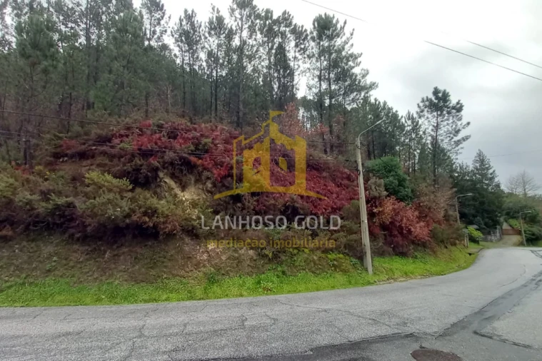 Terreno para Venda em Vilar da Veiga Foto 3