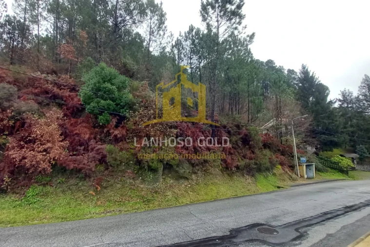 Terreno para Venda em Vilar da Veiga Foto 6